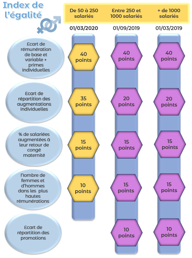  Infographie : les indicateurs de l’Index égalité femme homme